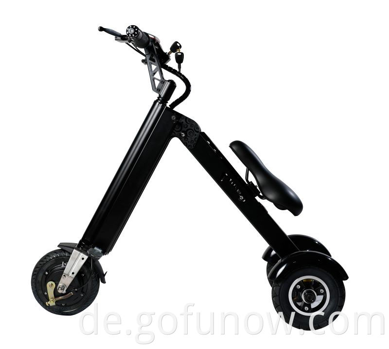 Custom Moped Price Electric Scooter 3Wheel mit CE-zugelassener G-Fun